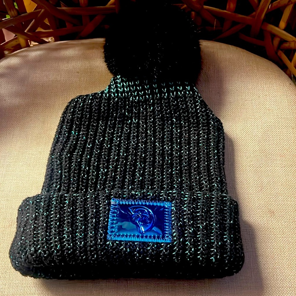 New Disney X Love Your Melon Adult Pom Pom Hat unique